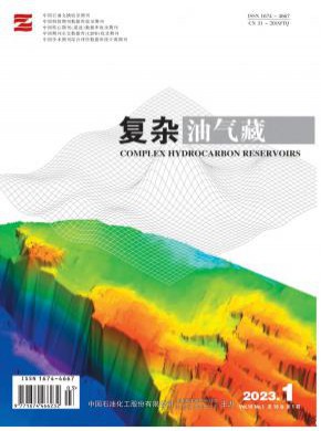 复杂油气藏杂志